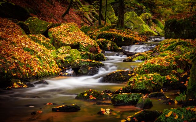 Die Karlstalschlucht im Herbst
