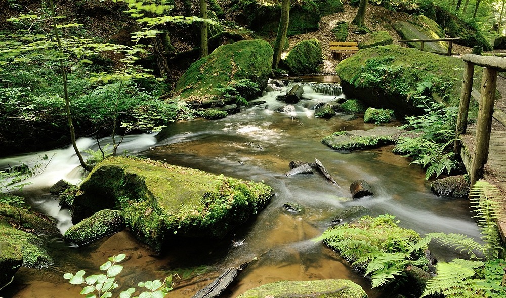 Die Karlstalschlucht liegt etwa 10 Kilometer südlich von Kaiserslautern...