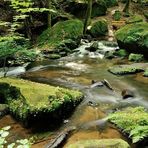 Die Karlstalschlucht liegt etwa 10 Kilometer südlich von Kaiserslautern...