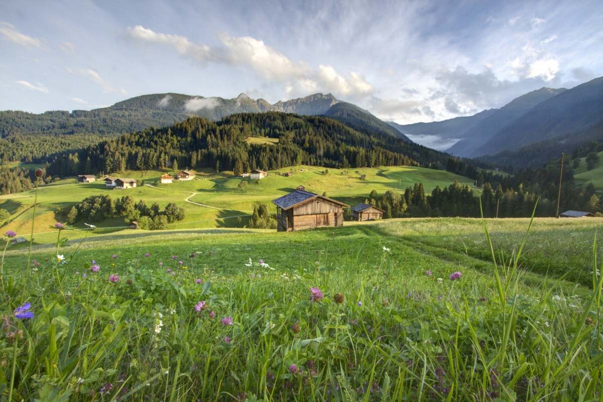 Die Karnischen Alpen