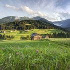 Die Karnischen Alpen