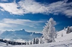 Die Karnischen Alpen