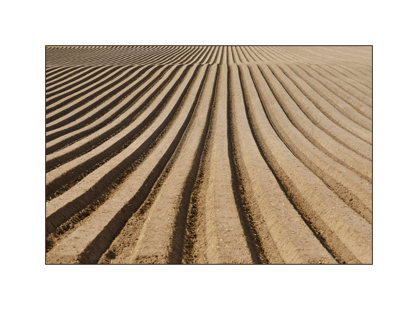 Die Kartoffel Sind Gesetzt Foto Bild Landschaft Acker Felder
