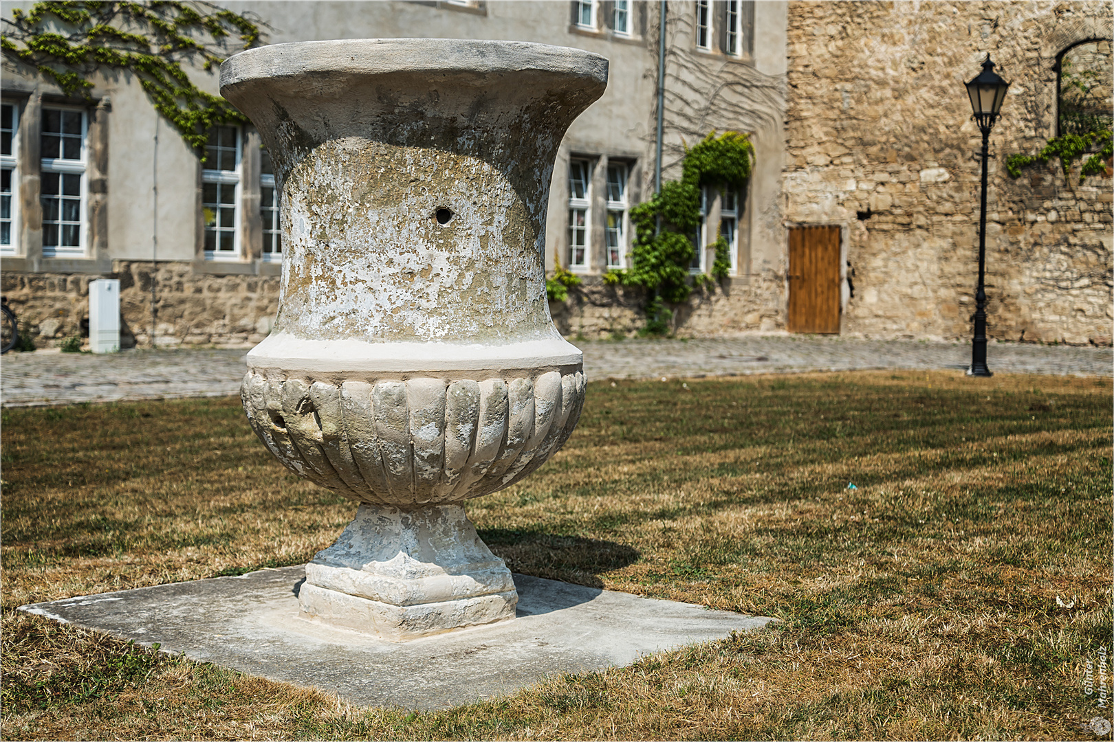 Die Kartoffelvase von Hessen