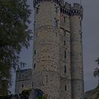 Die Kasselburg