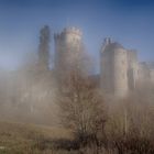 Die Kasselburg versteckt sich