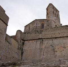 Die Kathedrale Santa Maria de las Nieves