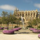 Die Kathedrale von Palma de Mallorca