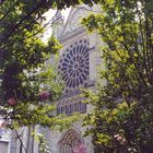 Die Kathedrale von Saint-Denis