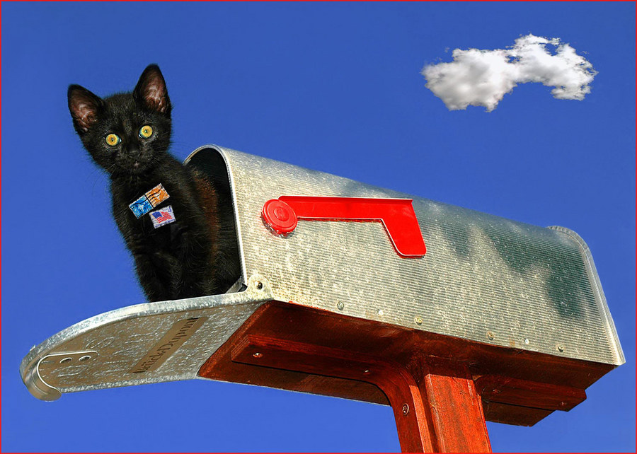 die Katze auf dem heißen Blech....briefkasten (Reload)