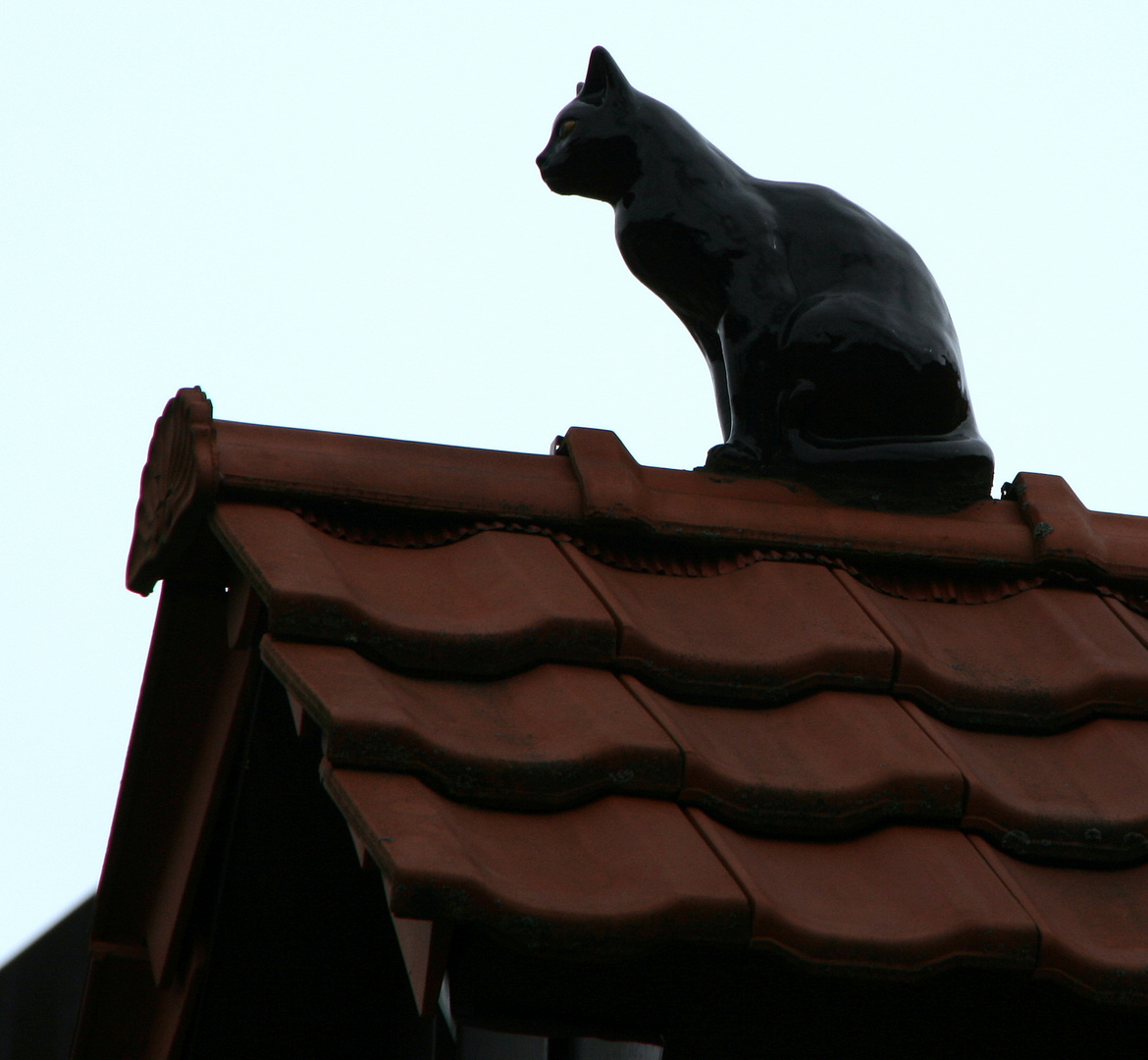 Die Katze auf dem heißen Ziegeldach oder so ähnlich... ---> Gelöst