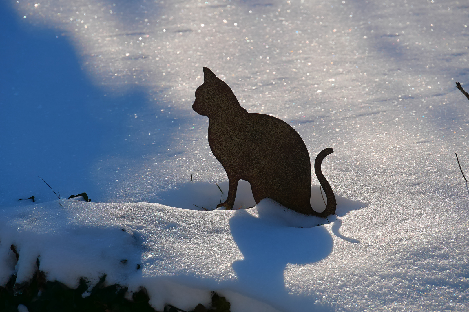 Die Katze im kaltem Schnee