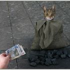 Die Katze im Sack kaufen