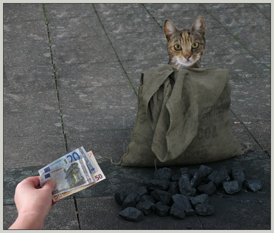 Die Katze im Sack kaufen Foto & Bild redensarten in bildern, specials, allerlei Bilder auf Die Katze im Sack kaufen Foto & Bild redensarten in bildern, specials, allerlei Bilder auf