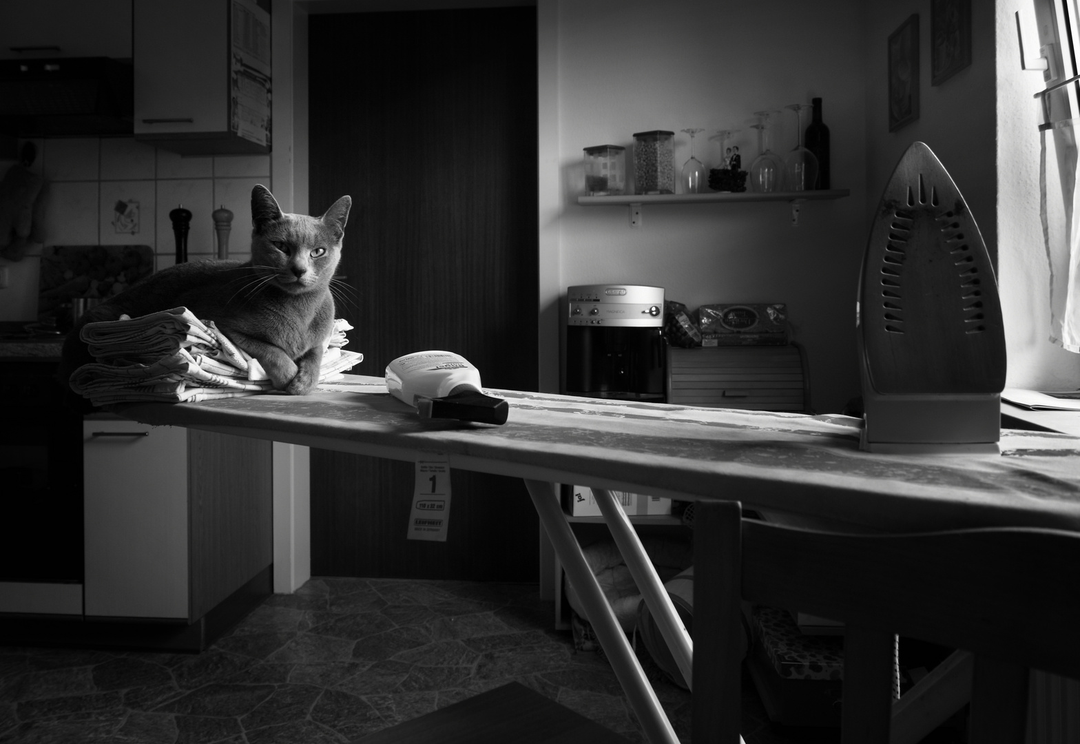 Die Katze in der Küche ersetzt das Bügeln nicht...