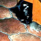 Die Katze läßt das Mausen nicht!