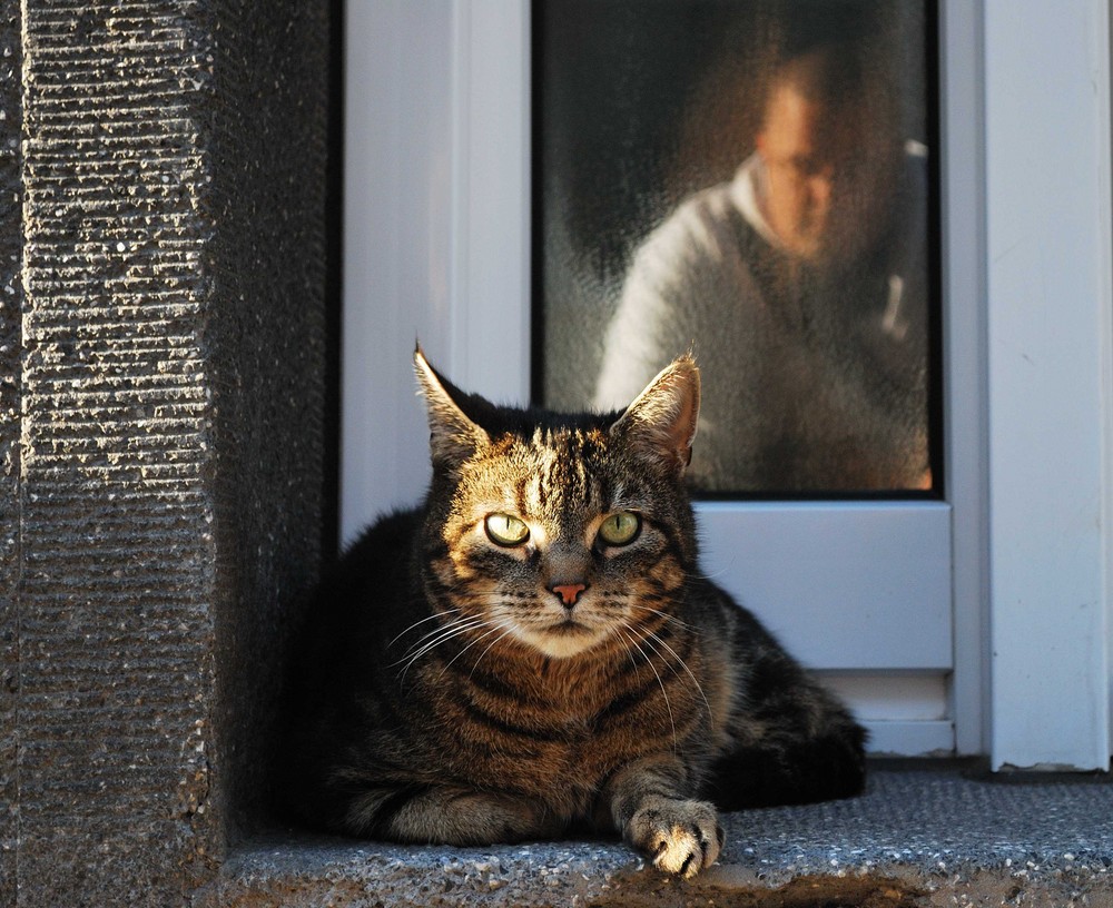 die Katze und der Fotograf ;)