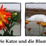 Die Katze und die Blume