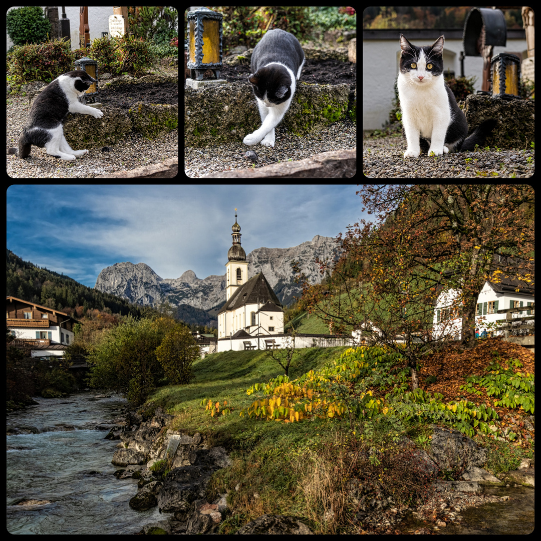 Die Katze und die Kirchenmaus. 