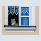 Die Katze vom Kugelbühl