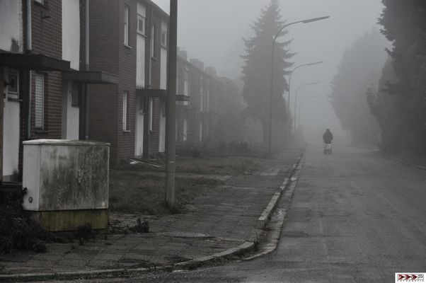 die "Katzenfrau" von Immerath ...