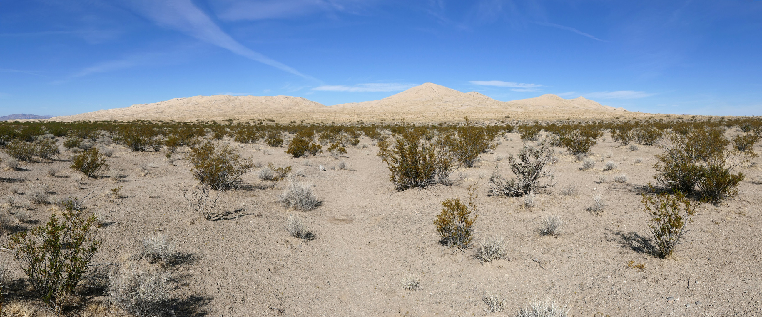 Die Kelso Sanddunes