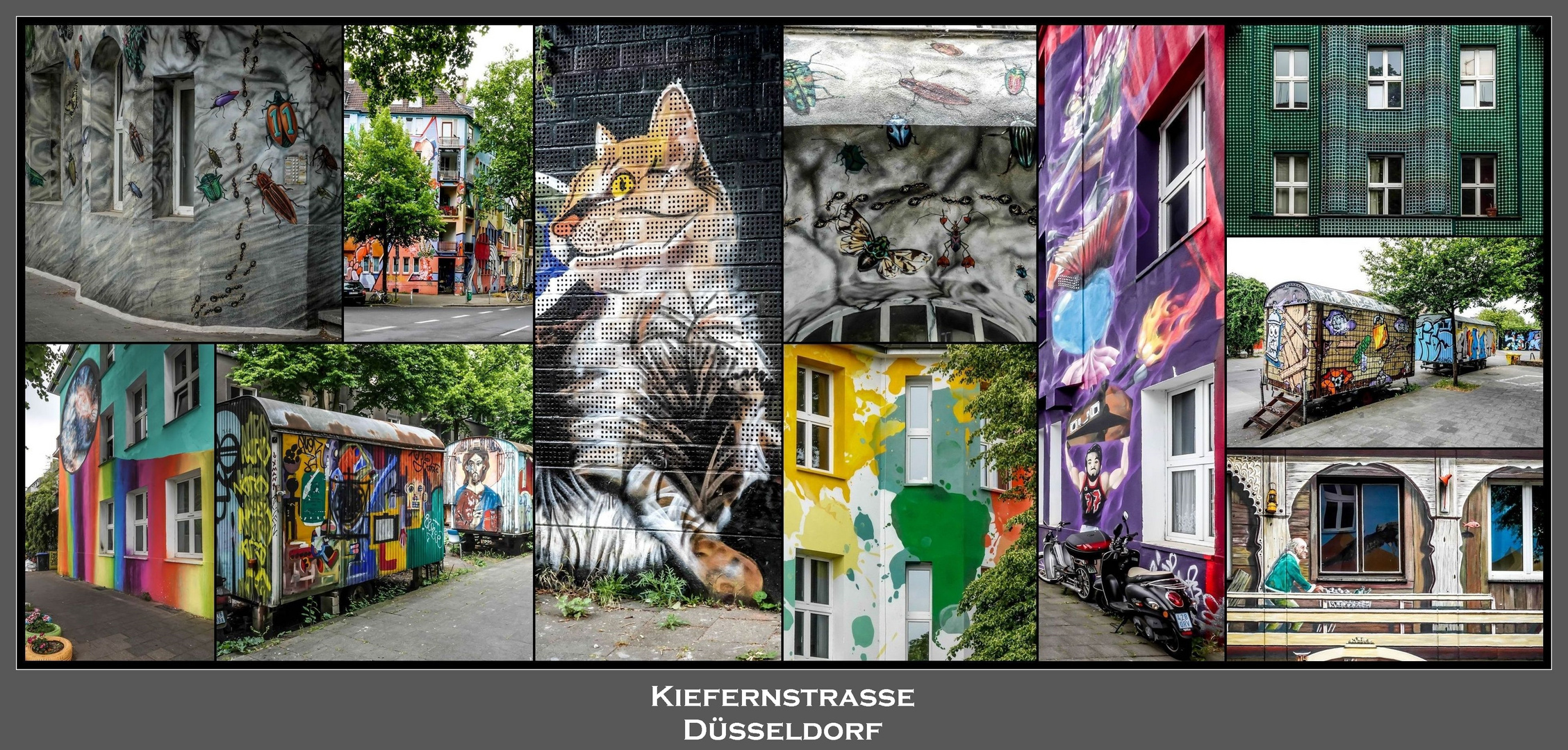 Die " Kiefern " Düsseldorf (2)