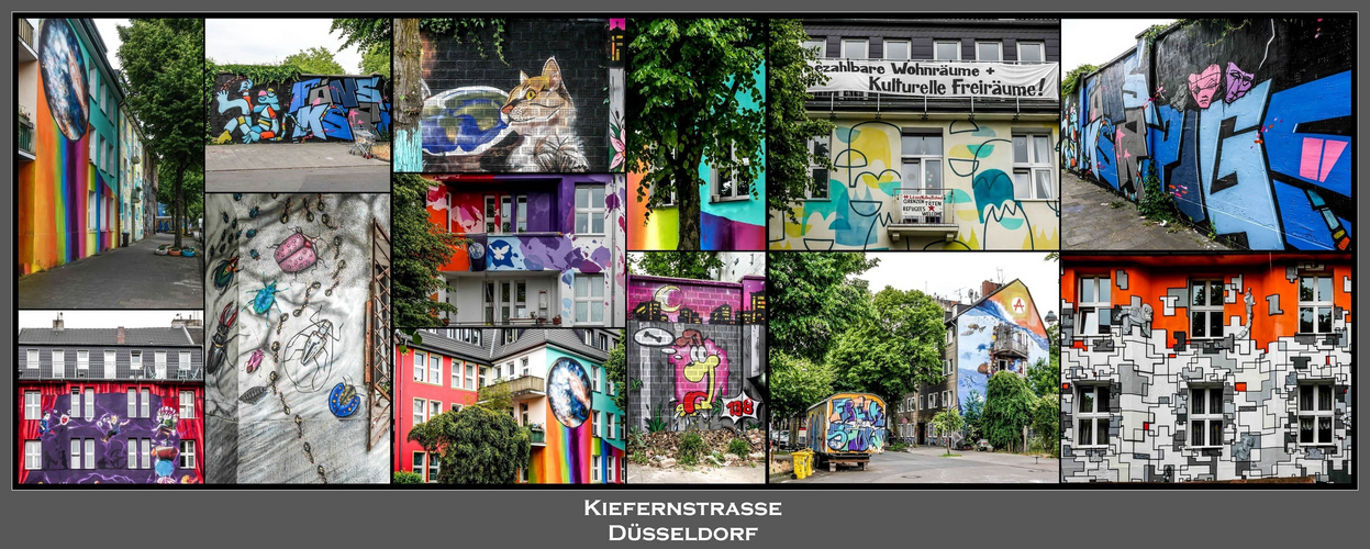 Die " Kiefern " Düsseldorf (3)