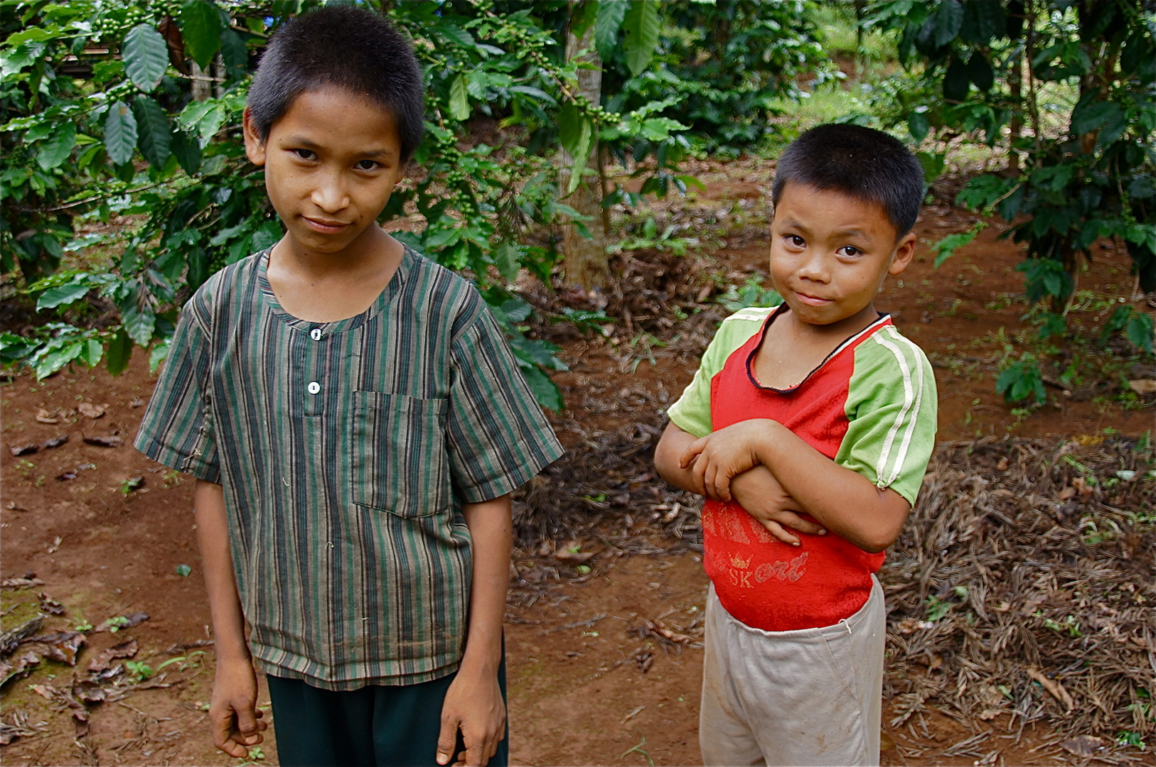 die kinder des kaffeeplantagenpächters, burma 2011