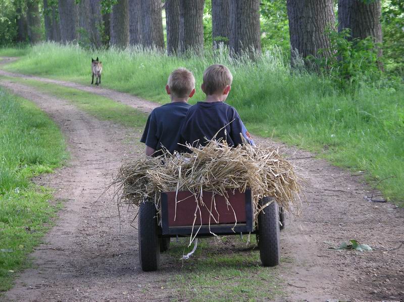 Die Kinder von Bullerbü