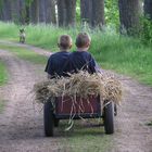 Die Kinder von Bullerbü