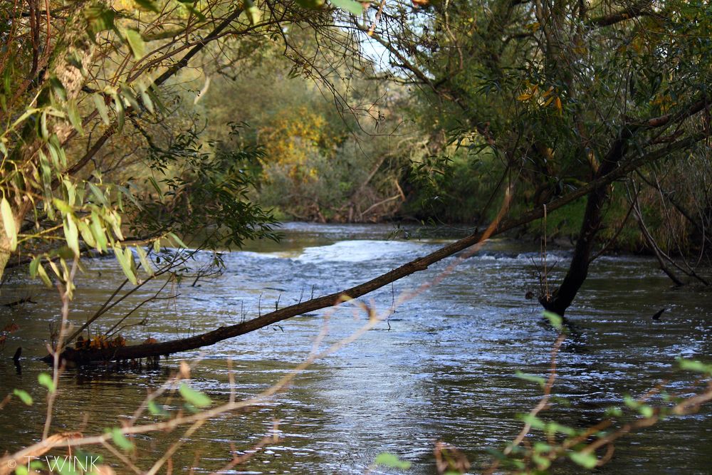 Die Kinzig im MainKinzigKreis Foto & Bild landschaft, bach, fluss