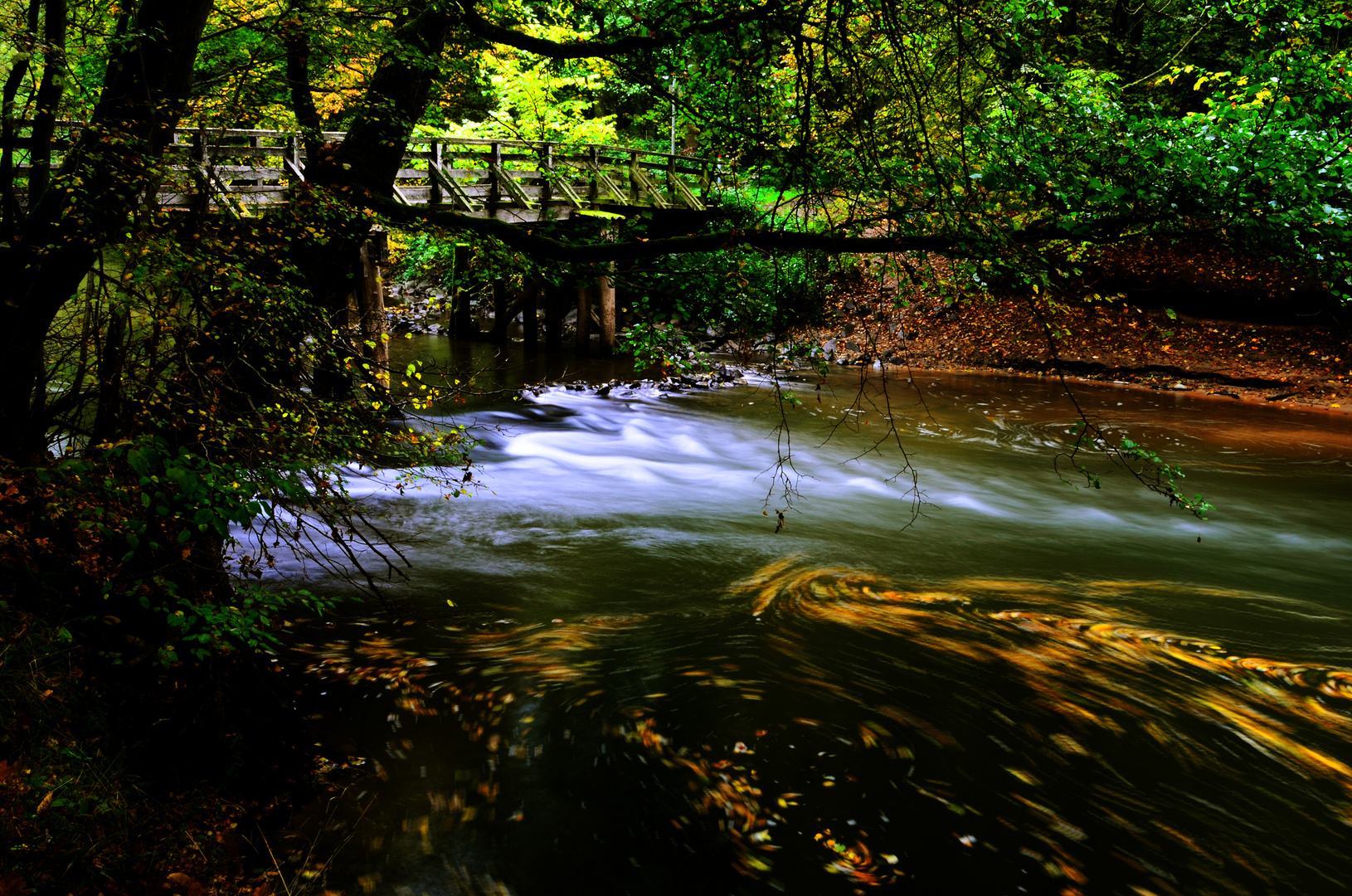 Die Kinzig in der Bulau