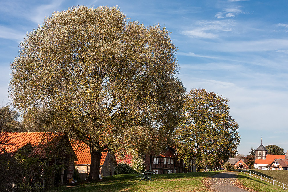 Die Kirche