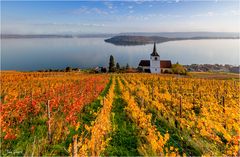 Die Kirche am See