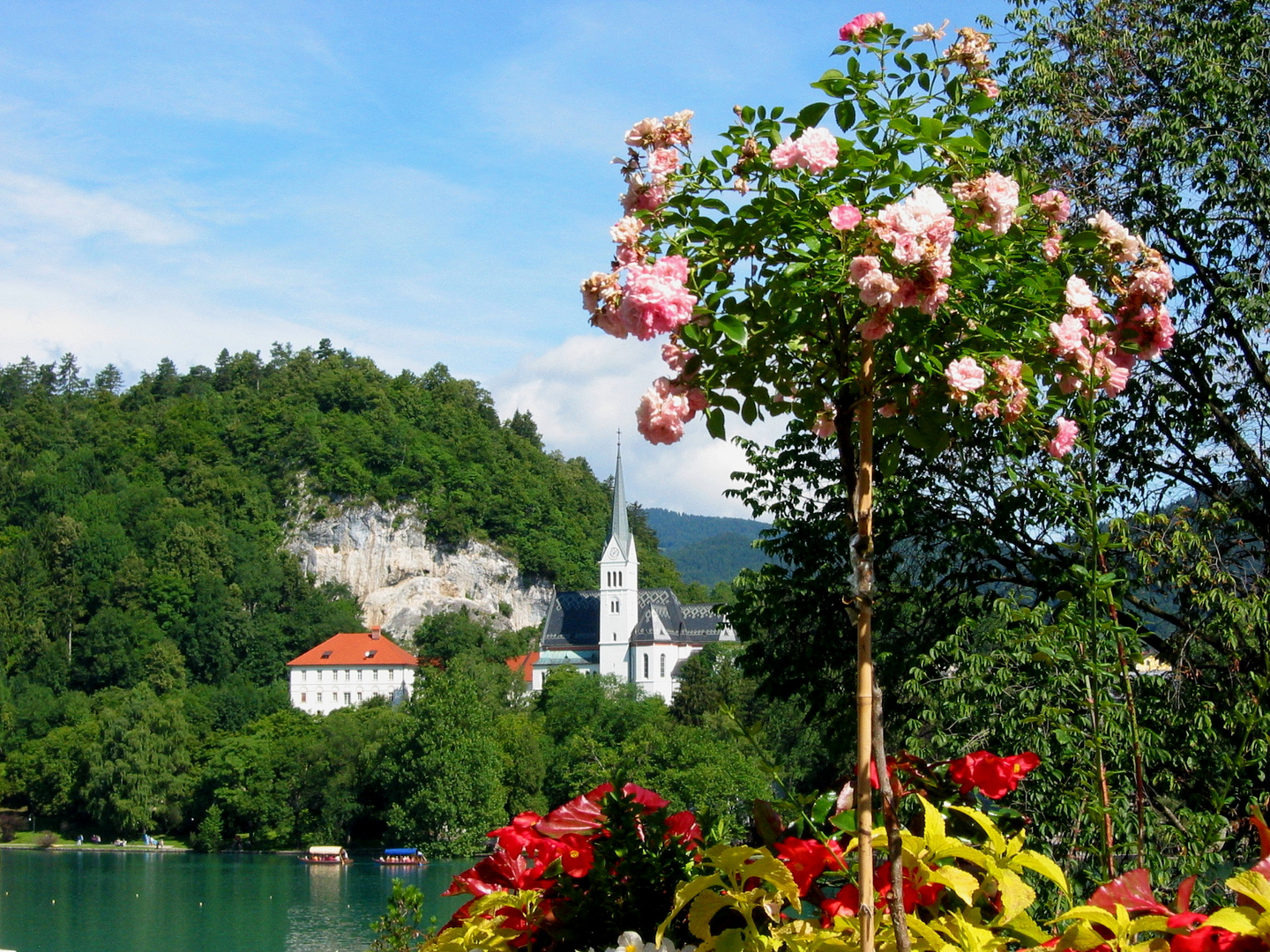 Die Kirche am See von Bled (Slowenien)