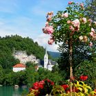 Die Kirche am See von Bled (Slowenien)