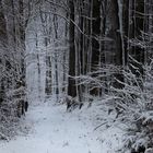 Die Kirche der Natur