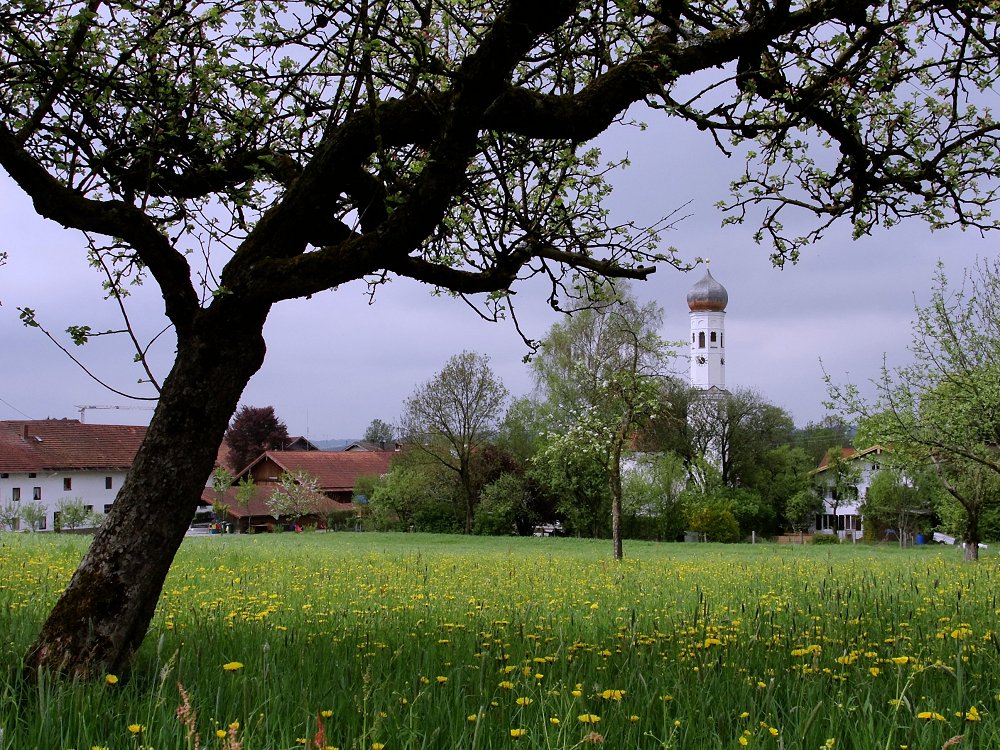 Die Kirche im Dorf