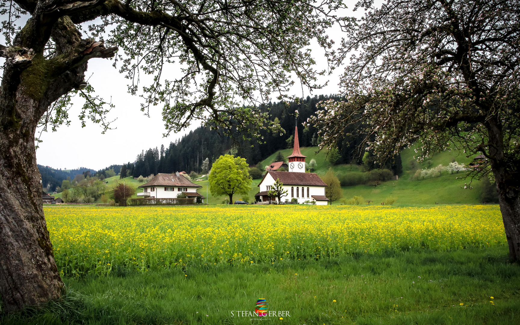 Die Kirche im Rapsfeld