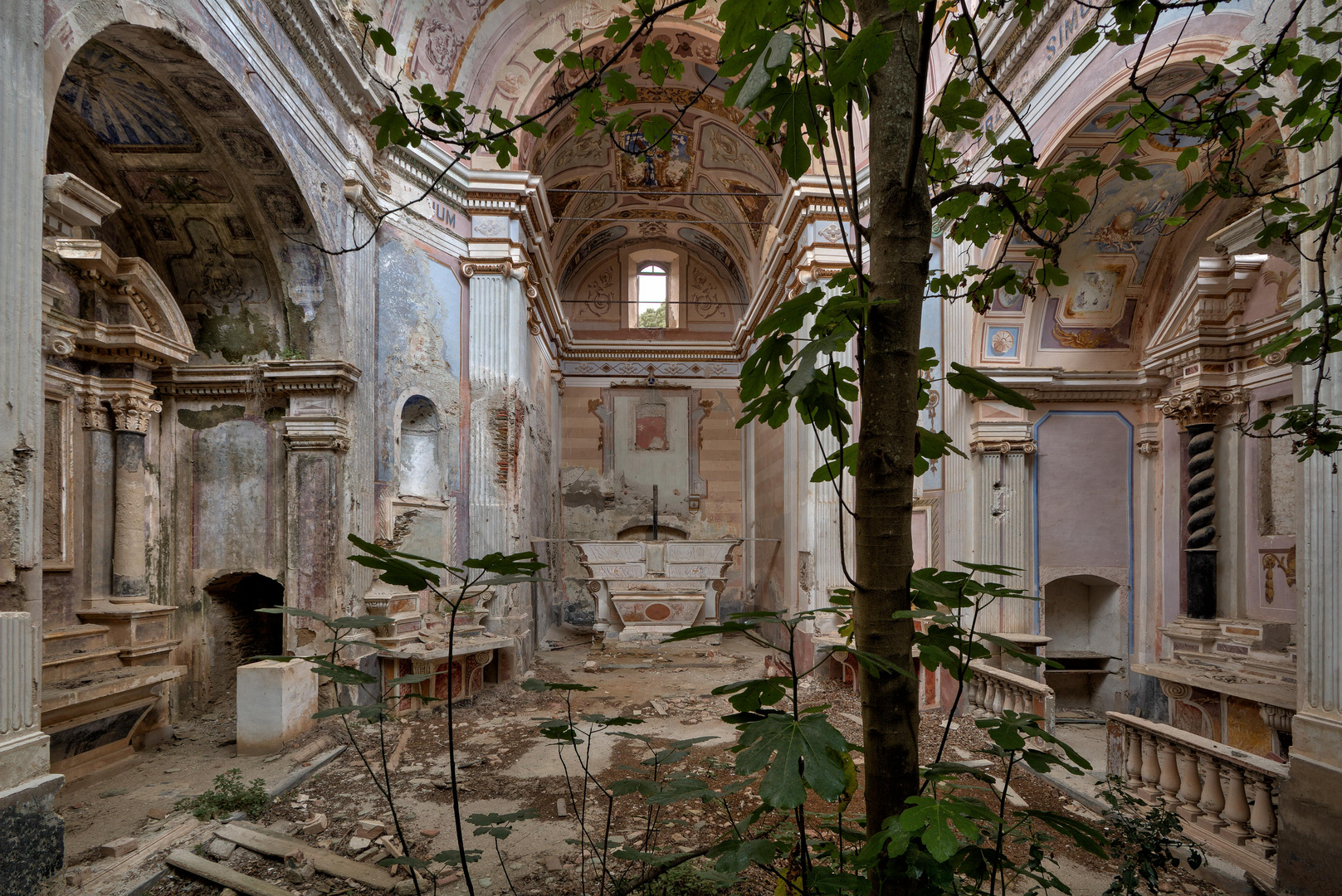 die Kirche mit dem Feigenbaum...