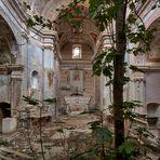 die Kirche mit dem Feigenbaum...