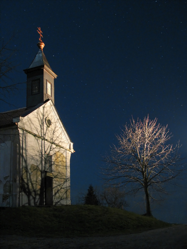 Die Kirche und der Baum