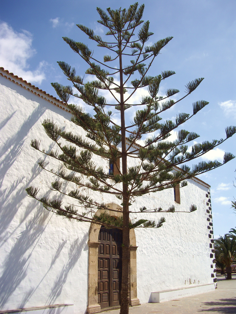 Die Kirche von La Oliva auf Furteventura