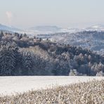 Die Kirche von Steißlingen