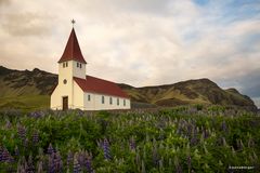 Die Kirche von Vík í Mýrdal 