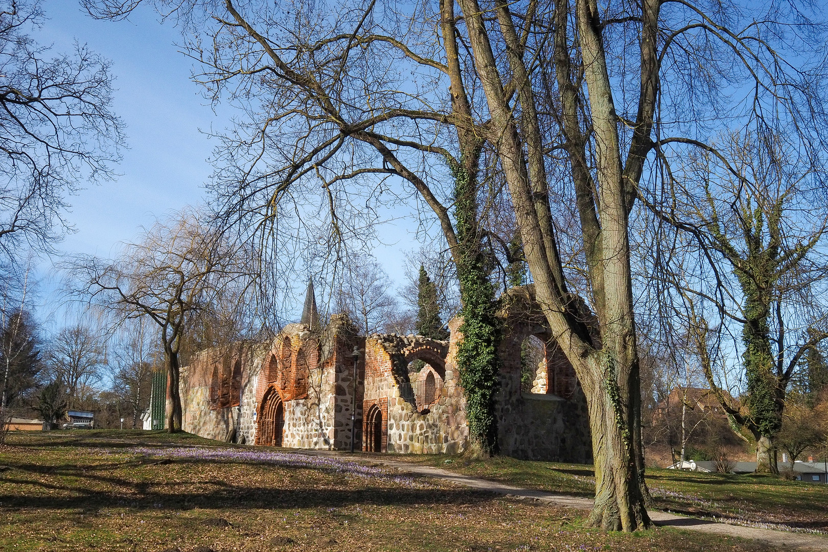 Die Kirchenruine in Satow (1)