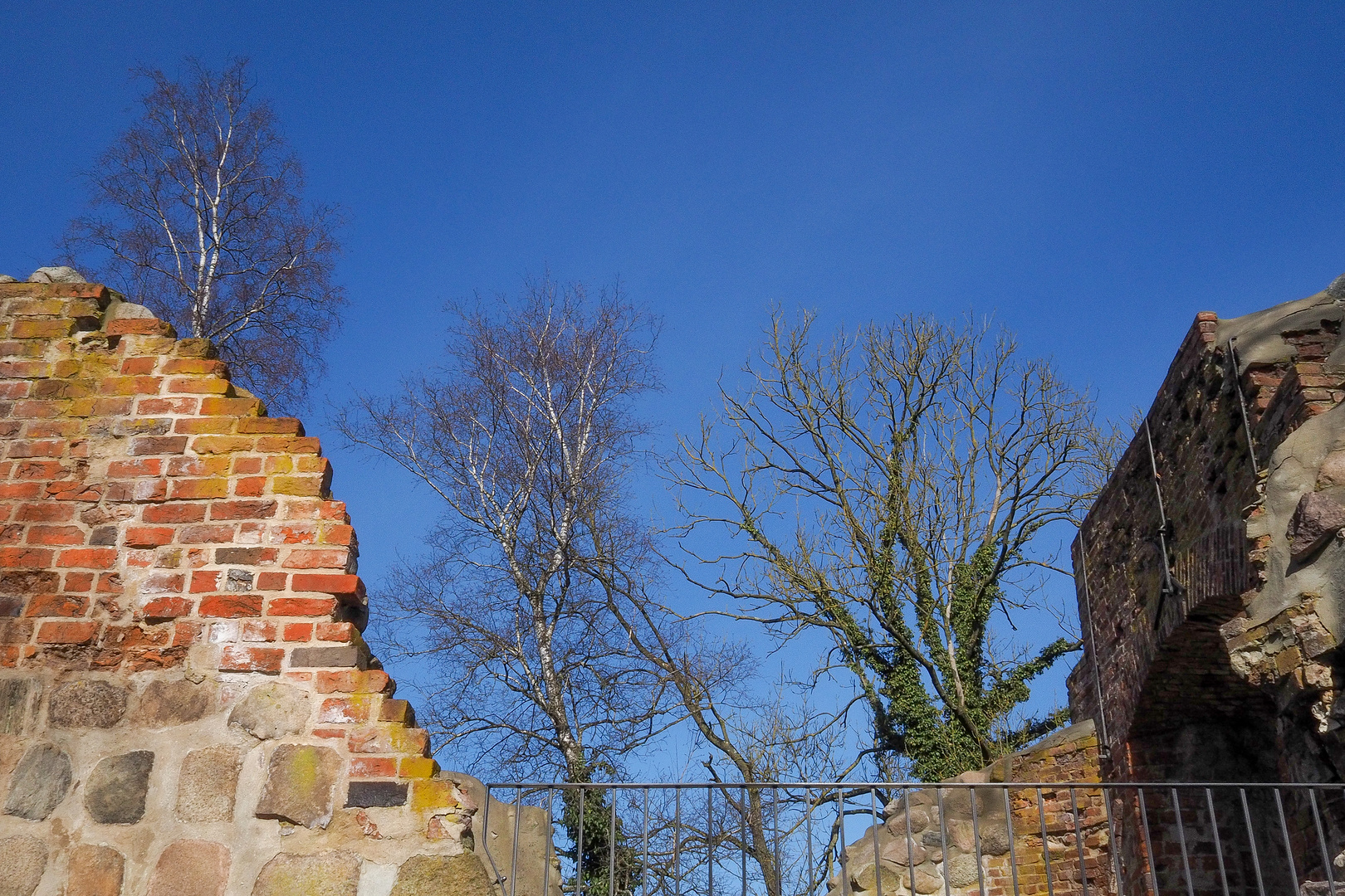 Die Kirchenruine in Satow (3)