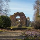 Die Kirchenruine in Satow (5)