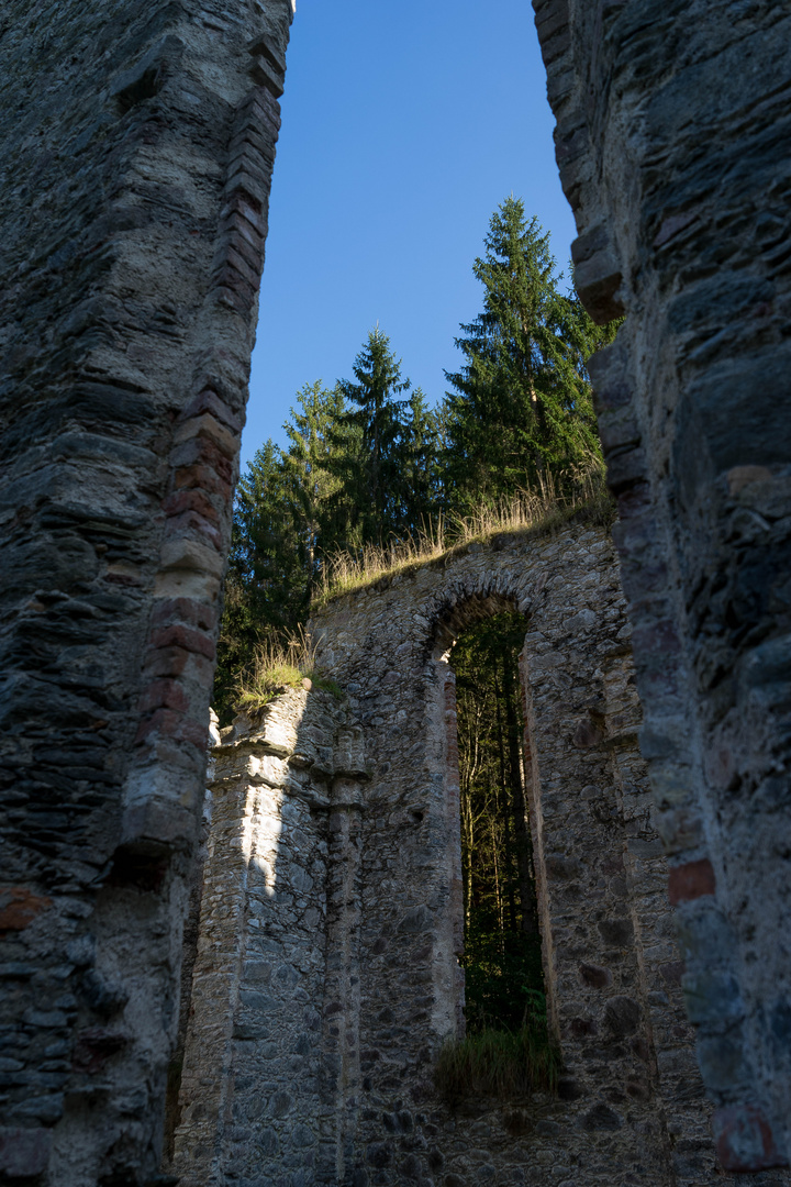 Die Kirchenruine von Hörbrunn V